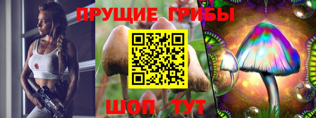 Псилоцибиновые грибы Psilocybine cubensis  Вход с VPN  купить  цена  Ярославль 