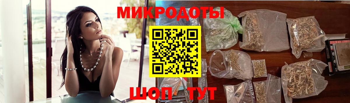 Галлюциногенные грибы Psilocybine cubensis Ярославль